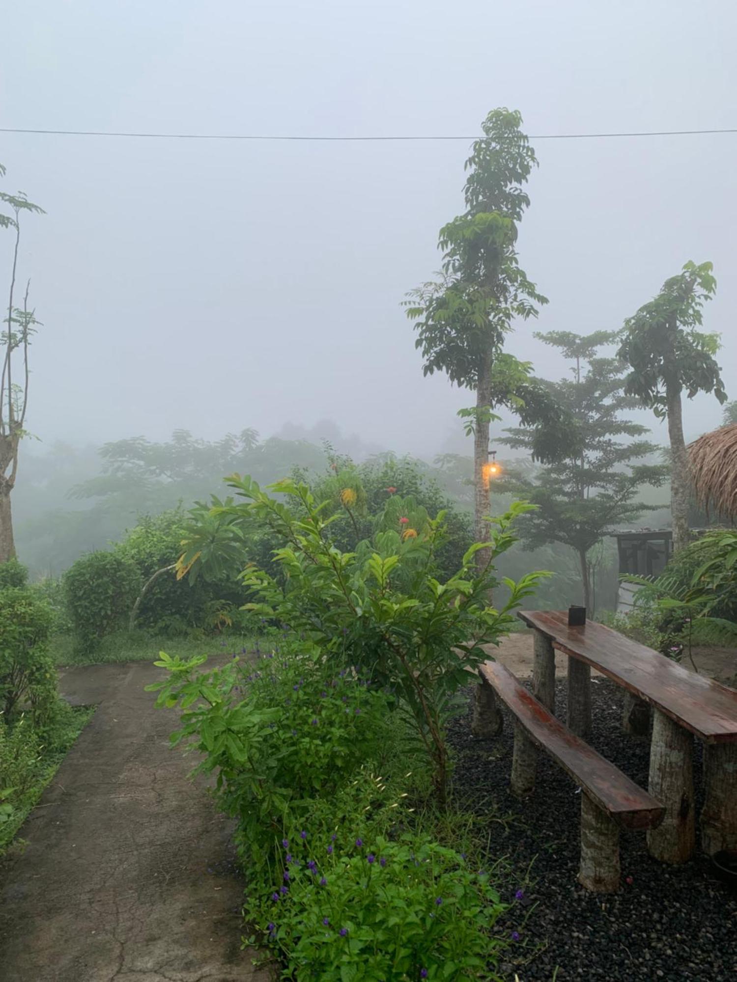 Tommy Homestay Plambi Exterior foto