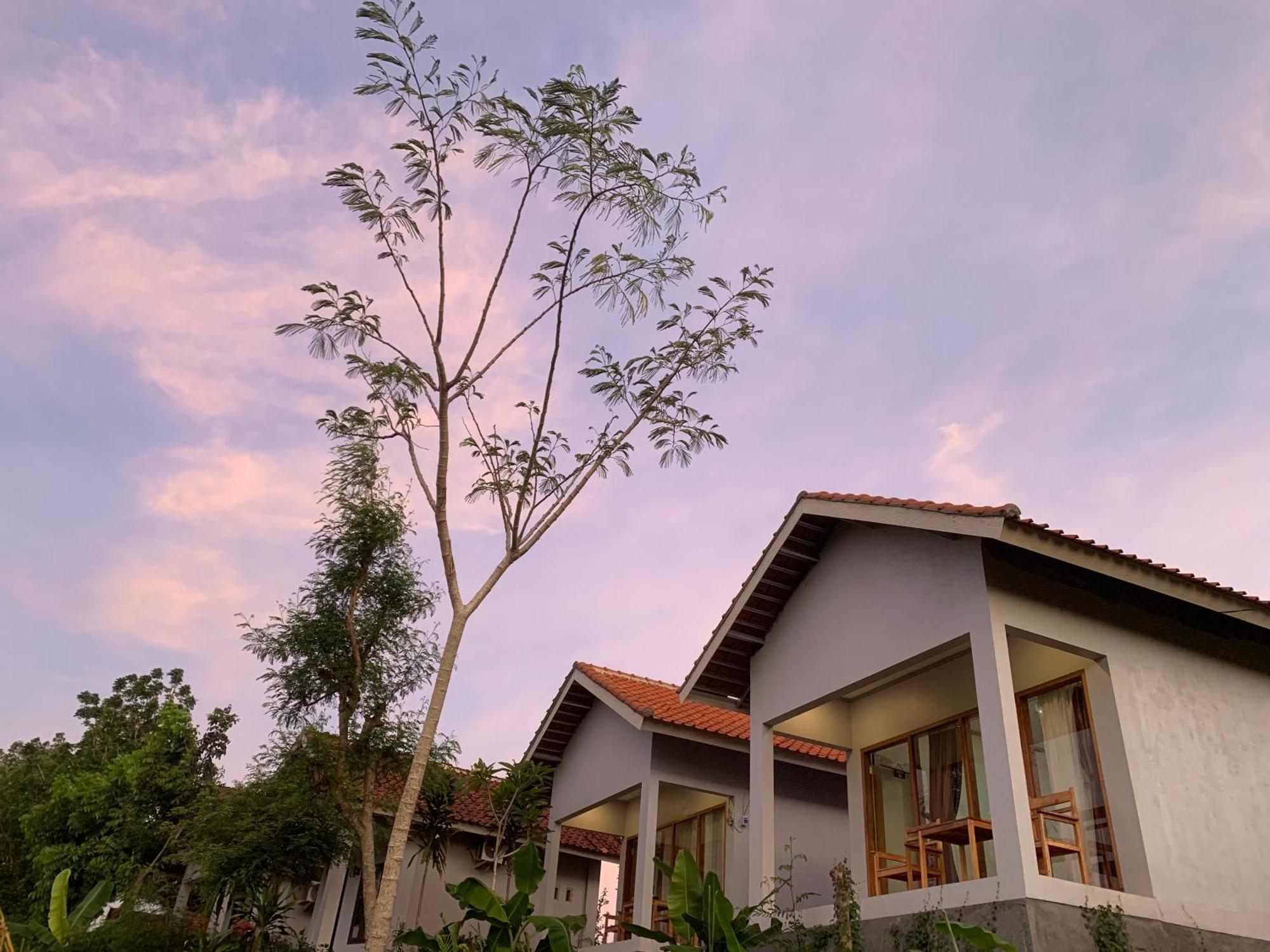 Tommy Homestay Plambi Exterior foto